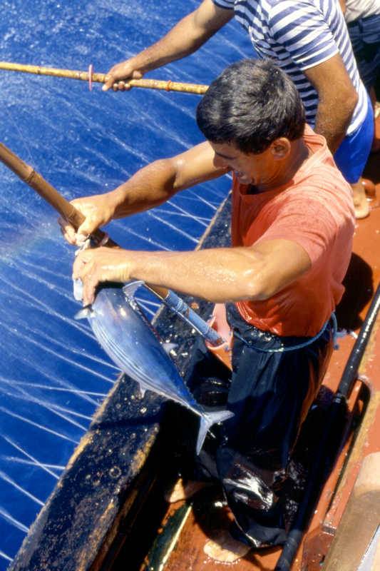 Pesca del tonno alle Isola Azzorre